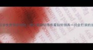 南昌拉布拉多免费领养指南暖心救助站带你看如何领养一只会打滚的治愈系大狗