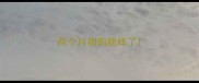 两个月狗狗腿摔了