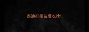 泰迪打疫苗后吃啥