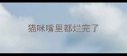猫咪嘴里都烂完了