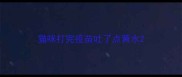 猫咪打完疫苗吐了点黄水