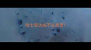 哈士奇训练不在家里
