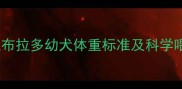 40天大拉布拉多幼犬体重标准及科学喂养指南