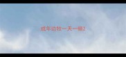 成年边牧一天一顿