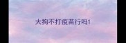 大狗不打疫苗行吗