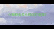 小狗驱虫多久可以打疫苗