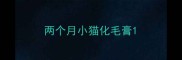 两个月小猫化毛膏