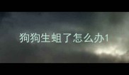狗狗生蛆了怎么办