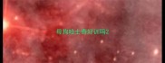 母狗哈士奇好训吗
