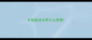 水瓶座适合养什么宠物