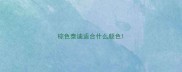 棕色泰迪适合什么颜色
