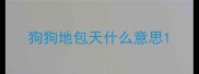 狗狗地包天什么意思