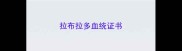 拉布拉多血统证书