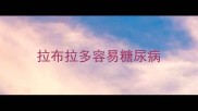 拉布拉多容易糖尿病