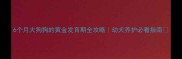 6个月大狗狗的黄金发育期全攻略幼犬养护必看指南