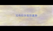 拉布拉多脸部囊肿