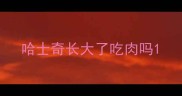 哈士奇长大了吃肉吗