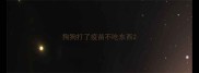 狗狗打了疫苗不吃东西