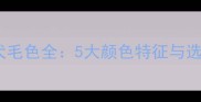 金毛幼犬毛色全5大颜色特征与选购指南