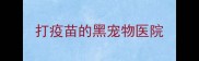 打疫苗的黑宠物医院