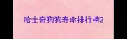 哈士奇狗狗寿命排行榜
