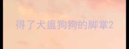 得了犬瘟狗狗的脚掌