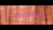 小狗感冒神魔症状