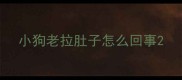 小狗老拉肚子怎么回事