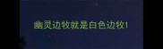 幽灵边牧就是白色边牧