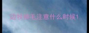边牧换毛注意什么时候