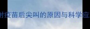 狗狗注射疫苗后尖叫的原因与科学应对指南