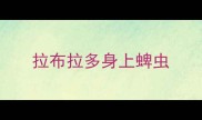 拉布拉多身上蜱虫