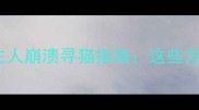 猫咪走失半个月主人崩溃寻猫指南这些方法99的人不知道