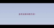 金毛站姿训练方法