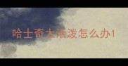 哈士奇太活泼怎么办