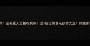 救命金毛夏天总拒吃狗粮这5招让挑食毛孩秒光盘附独家食谱