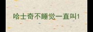 哈士奇不睡觉一直叫