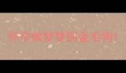 怀孕做梦梦到金毛狗