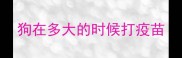 狗在多大的时候打疫苗