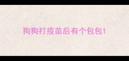 狗狗打疫苗后有个包包