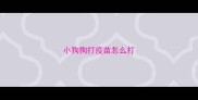 小狗狗打疫苗怎么打