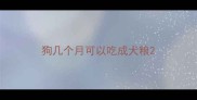 狗几个月可以吃成犬粮