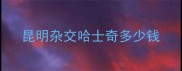昆明杂交哈士奇多少钱