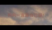 狗狗一直舔自己腿