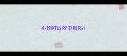 小狗可以吹电扇吗