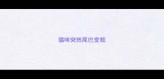 猫咪突然尾巴变粗