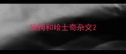 狼狗和哈士奇杂交