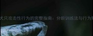 科学矫正犬只攻击性行为的完整指南分龄训练法与行为矫正技术