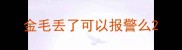 金毛丢了可以报警么