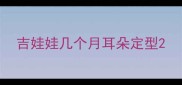 吉娃娃几个月耳朵定型